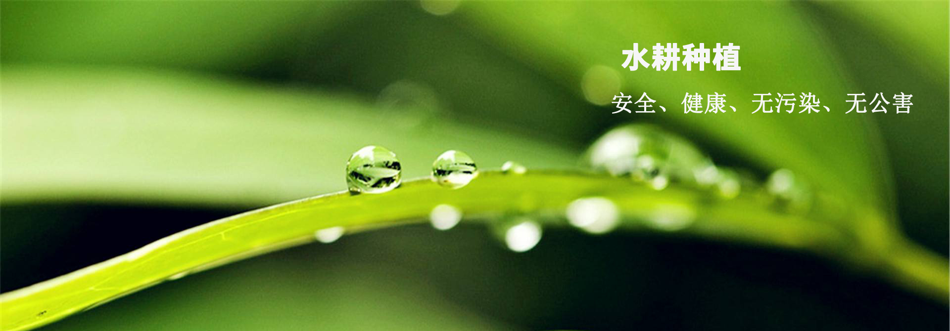 &#36125;&#21338;&#23089;&#20048;&#45;&#36125;&#21338;&#23089;&#20048;&#40;&#20013;&#22269;&#41;